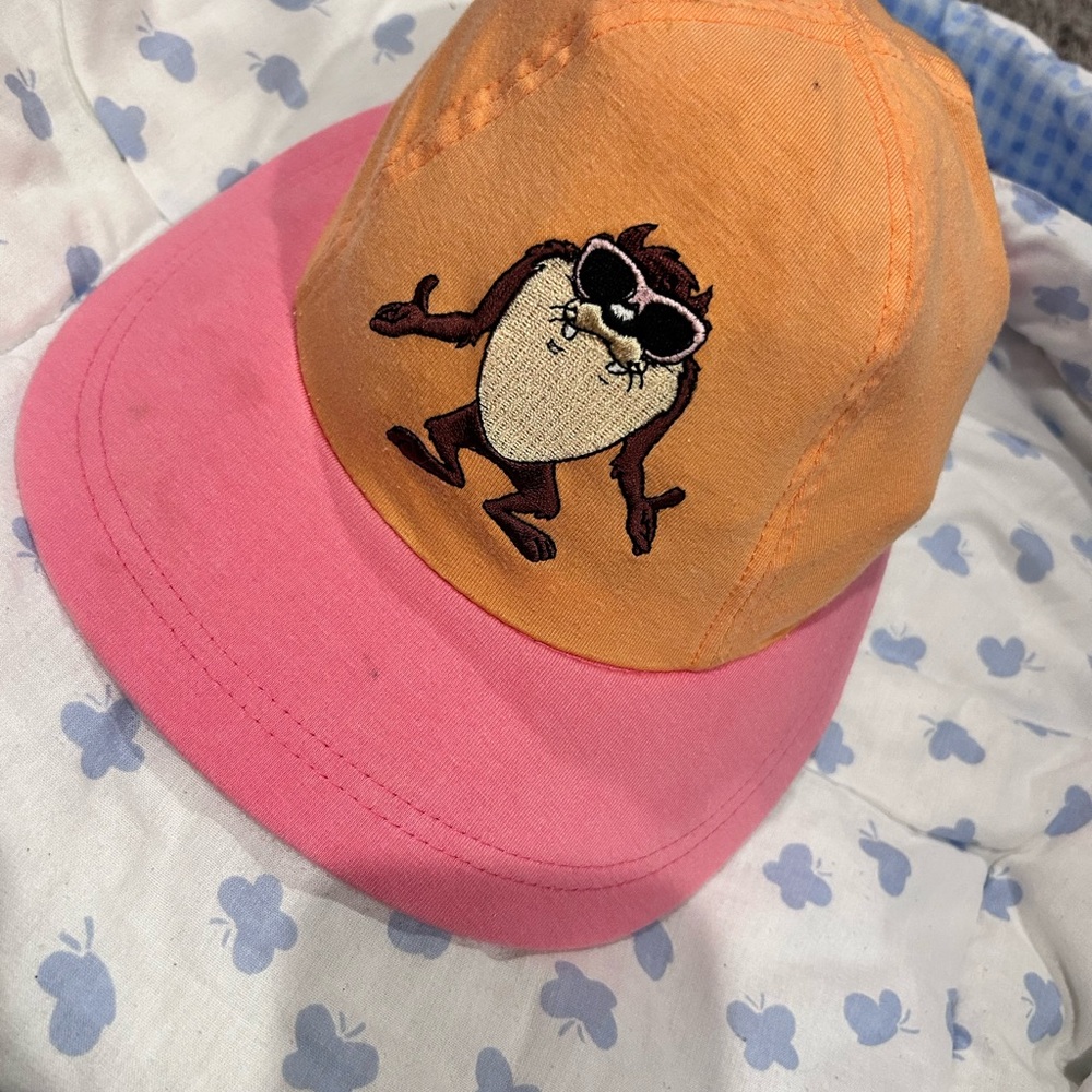 Warner Bros. Pink and Orange Cap